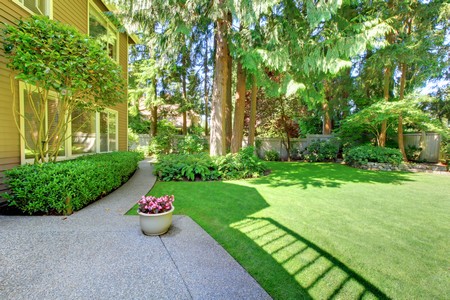 4 myths about lawn care