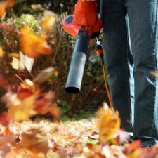 Fall Cleanup in Rockaway Township, NJ