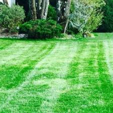 Vibrantly Beautiful Landscaping Spring Cleanup in Oak Ridge, NJ