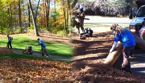 Landscaping fall cleanup oak ridge nj